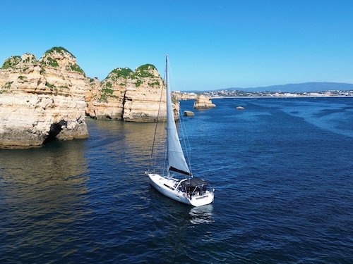 soggy paws in ponta da piadade